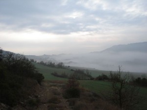editat
