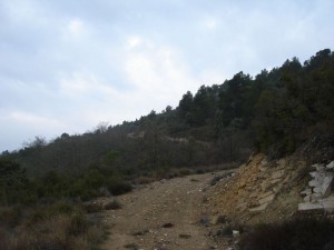 editat_02
